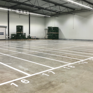 Belijning palletplaatsen door Van Heusden Werken